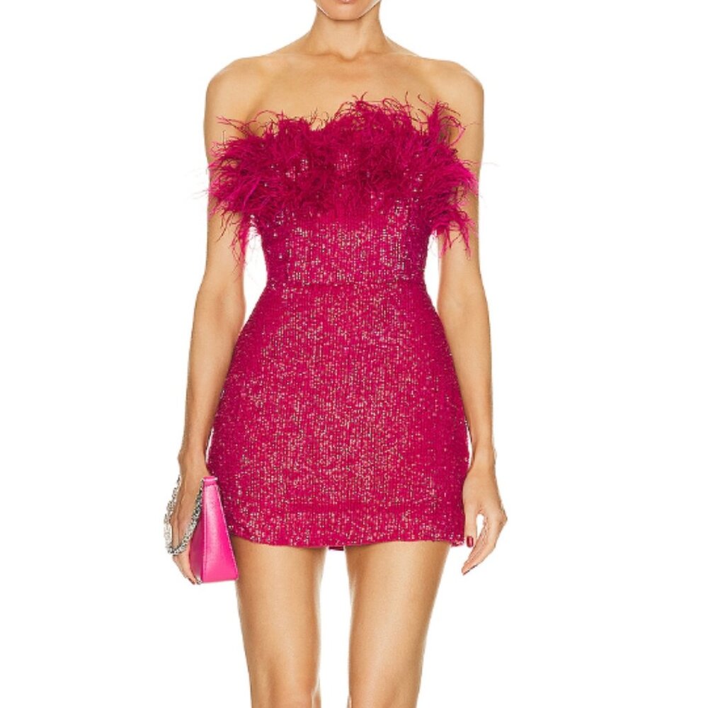 Torin Sequin Feather Dress
